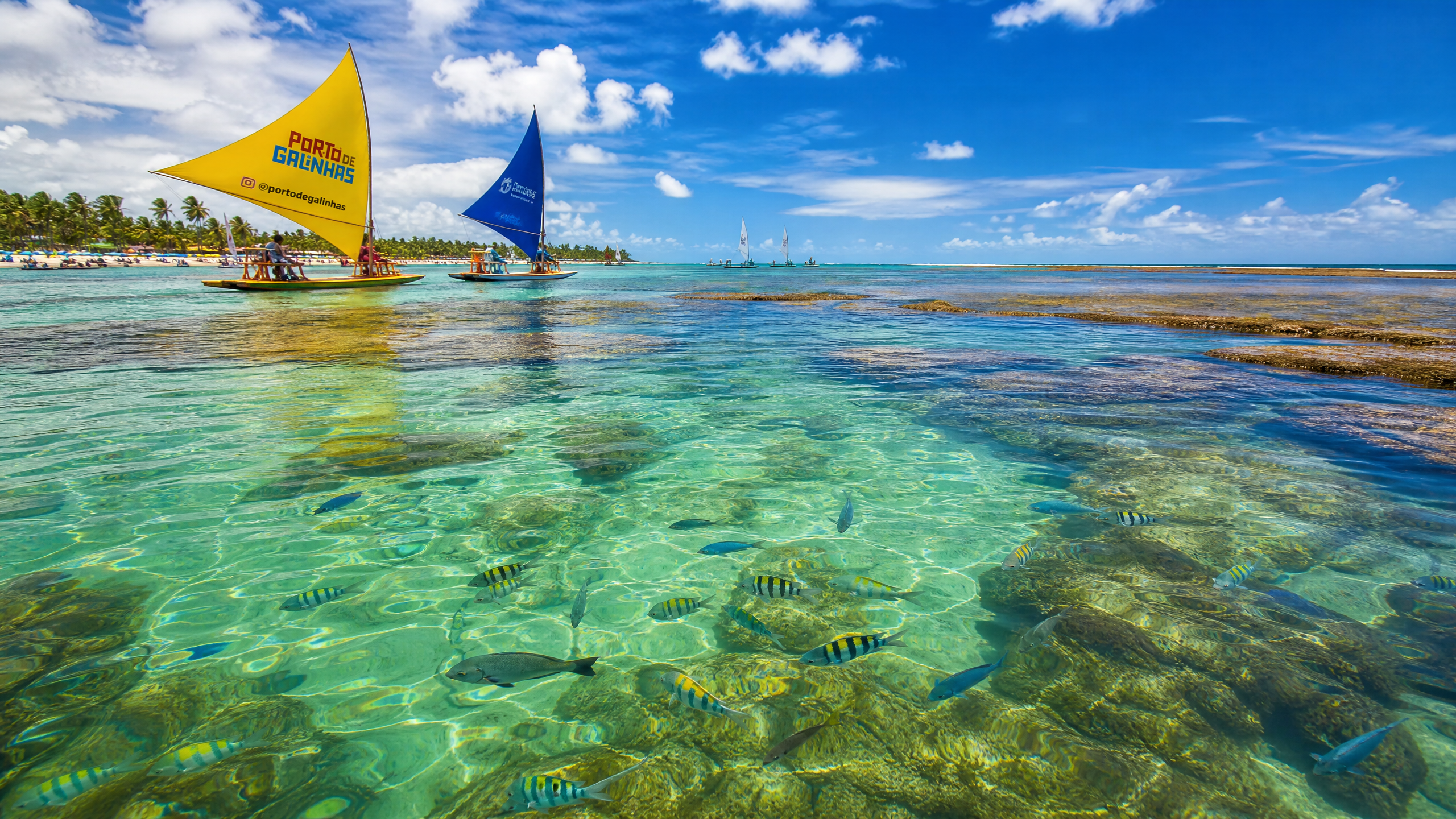 O Guia Definitivo para as Praias do Nordeste - brazilnewstoday.click image 1